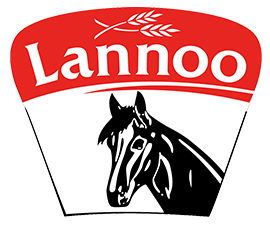 Lannoo paardenvoeders