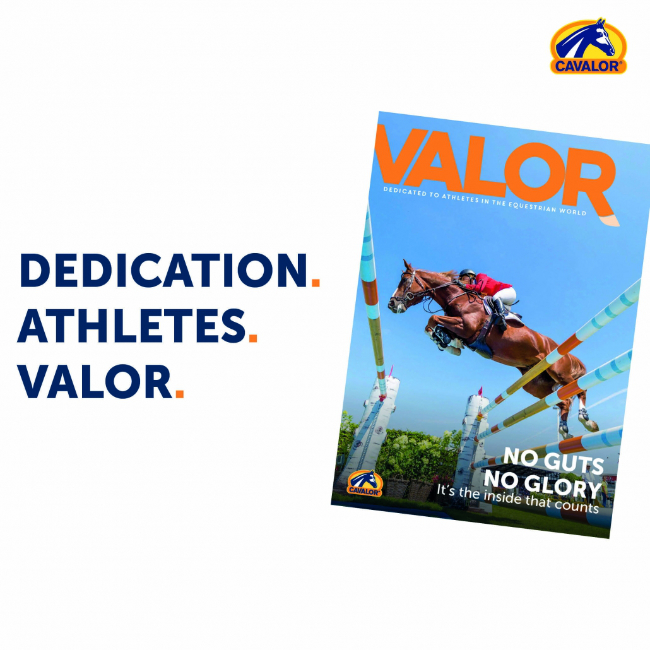 Valor - Cavalor